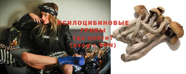 ешки Дмитровск