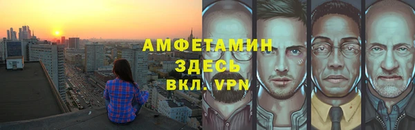 СК Алексин