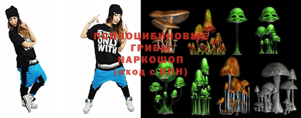 прущие грибы Алексеевка