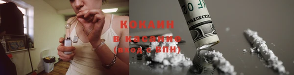мдпв Карпинск