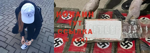шишки Алзамай