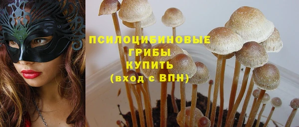 прущие грибы Алексеевка