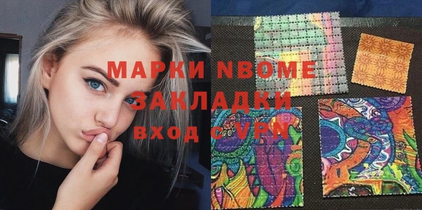 СК Алексин